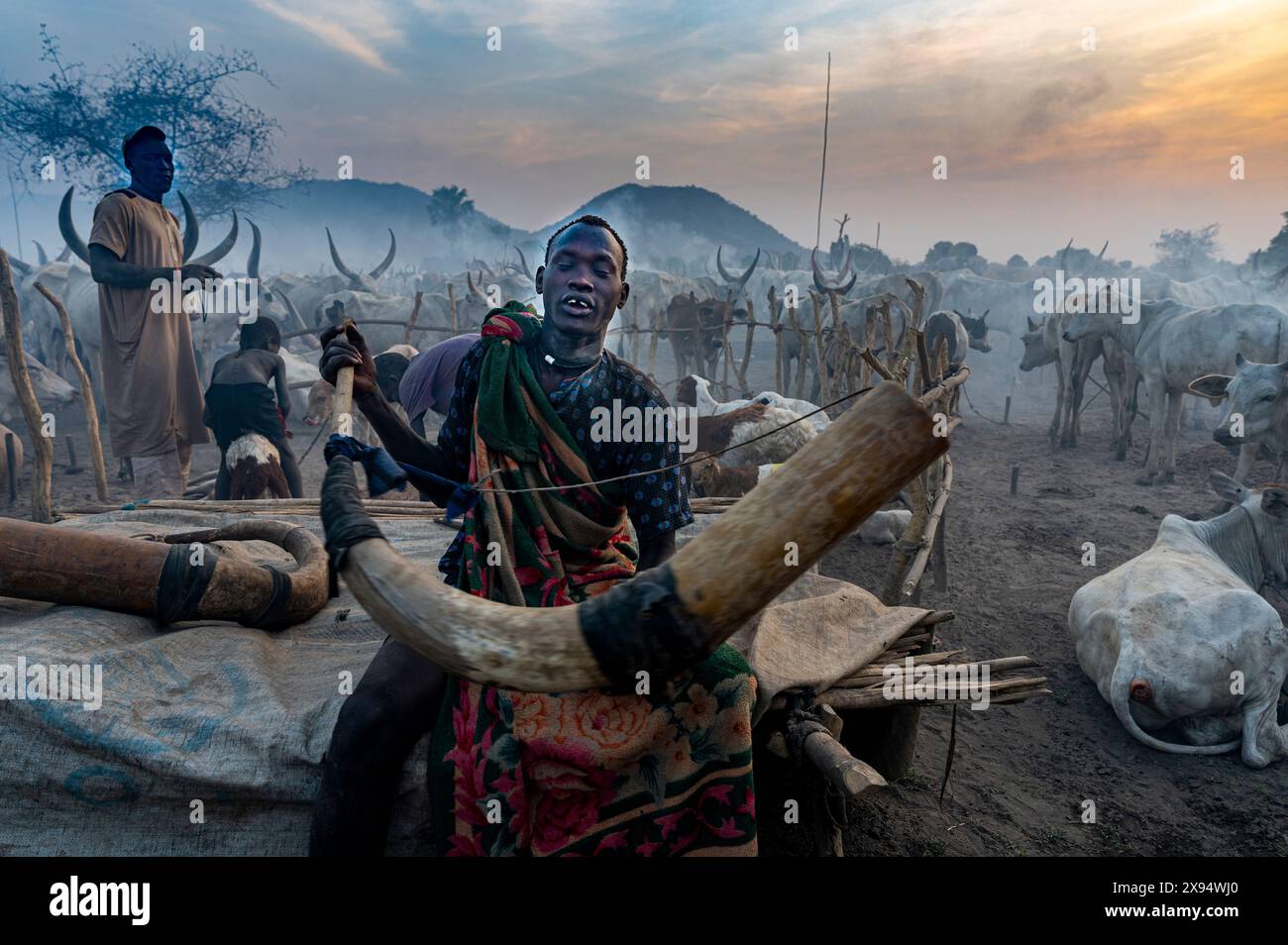 Uomo che soffia un enorme corno di mucca per segnalare alle mucche di tornare, tribù Mundari, Sud Sudan, Africa Foto Stock