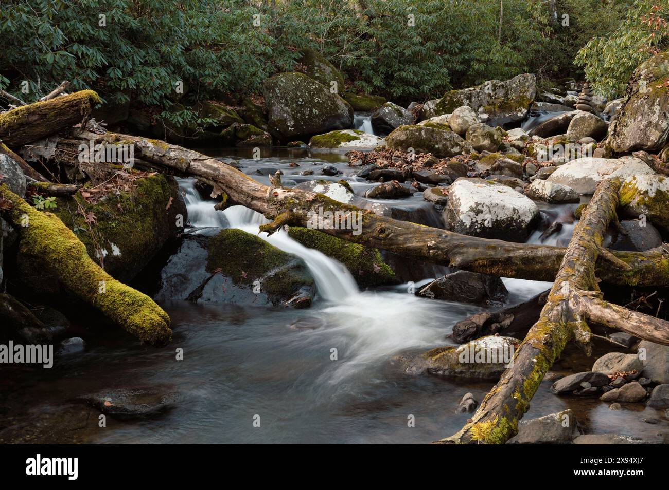 Cascate Roaring Creek, Appalachian Trail, Blue Ridge Mountains, North Carolina, Stati Uniti d'America, Nord America Foto Stock