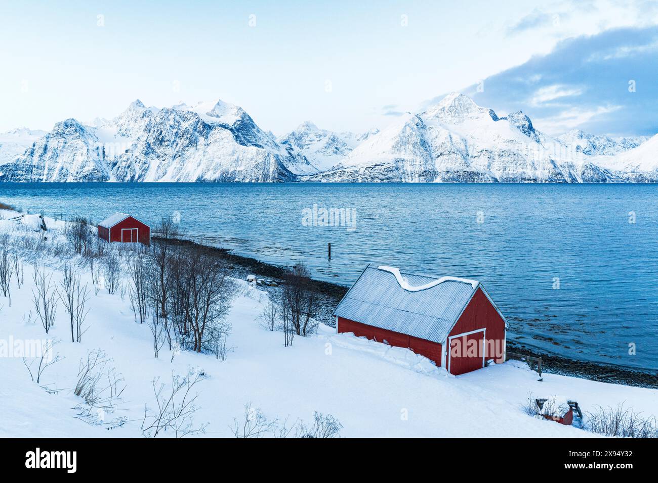 Vista elevata del tipico rorbu rosso sulla riva del fiordo circondato da vette innevate al mattino, Djupvik, Olderdalen, fiordo Lyngen, Norvegia Foto Stock