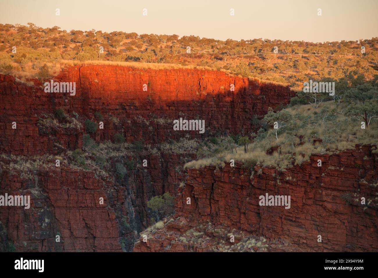 Tramonto sulle ripide scogliere rocciose rosse di Hancock Gorge nell'Australia Occidentale, Australia, Pacifico Foto Stock