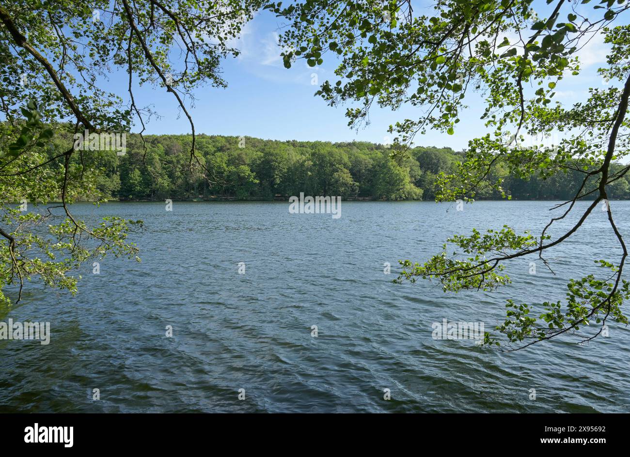 Schlachtensee, Zehlendorf, Steglitz-Zehlendorf, Berlino, Germania, Schlachtensee, Zehlendorf, Steglitz-Zehlendorf, Berlino, Germania Foto Stock