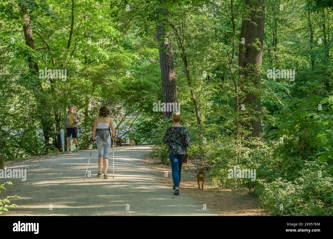 Escursionisti a Schlachtensee, Zehlendorf, Steglitz-Zehlendorf, Berlino, Germania +++ NESSUN RILASCIO DI MODELLI, Spaziergänger am Schlachtensee, Zehlendorf, Steglitz- Foto Stock