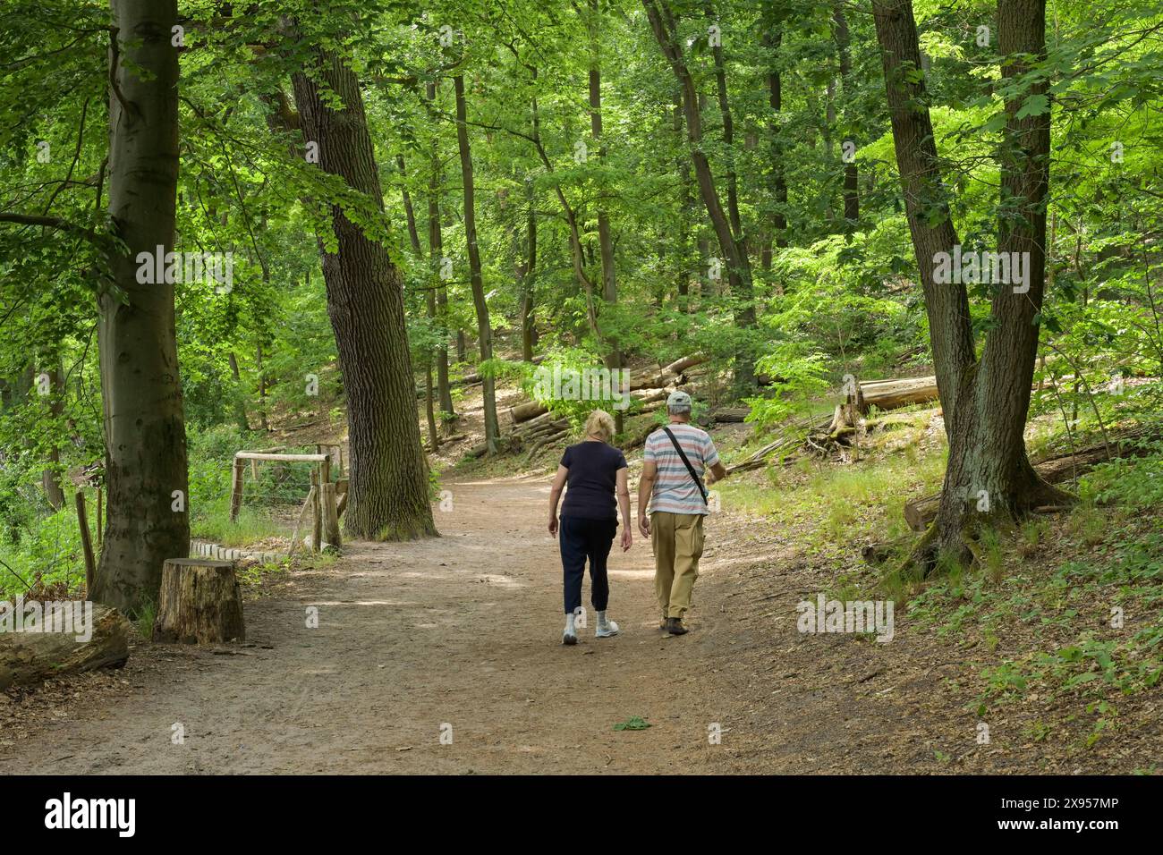 Walk, Krumme Lanke, Zehlendorf, Steglitz-Zehlendorf, Berlino, Germania, Spaziergang, Krumme Lanke, Zehlendorf, Steglitz-Zehlendorf, Berlino, Germania Foto Stock