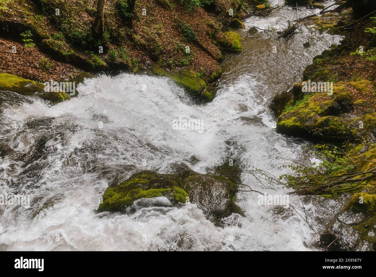 Cascata sul fiume Izubra a Golija in Serbia Foto Stock