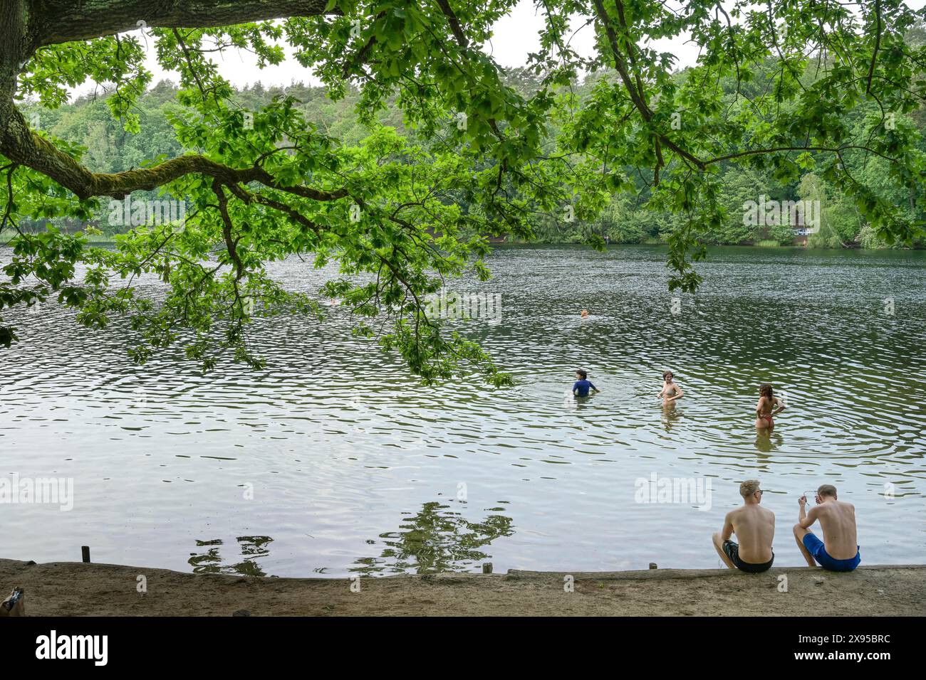 Zona balneare, Krumme Lanke, Zehlendorf, Steglitz-Zehlendorf, Berlino, Germania +++ NESSUN RILASCIO DI MODELLI, Badestelle, Krumme Lanke, Zehlendorf, Steglitz-Zehl Foto Stock