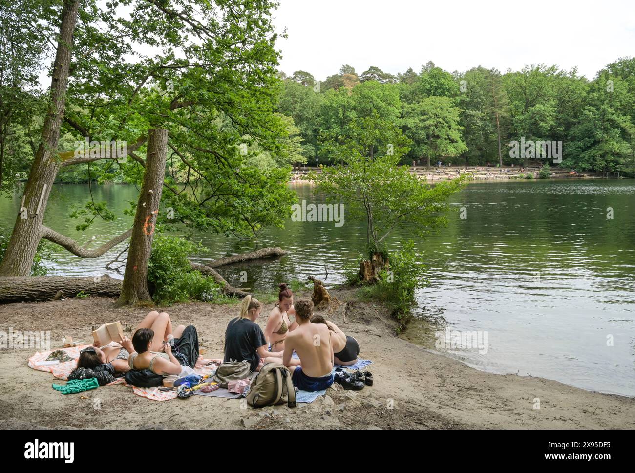 Zona balneare, Krumme Lanke, Zehlendorf, Steglitz-Zehlendorf, Berlino, Germania +++ NESSUN RILASCIO DI MODELLI, Badestelle, Krumme Lanke, Zehlendorf, Steglitz-Zehl Foto Stock