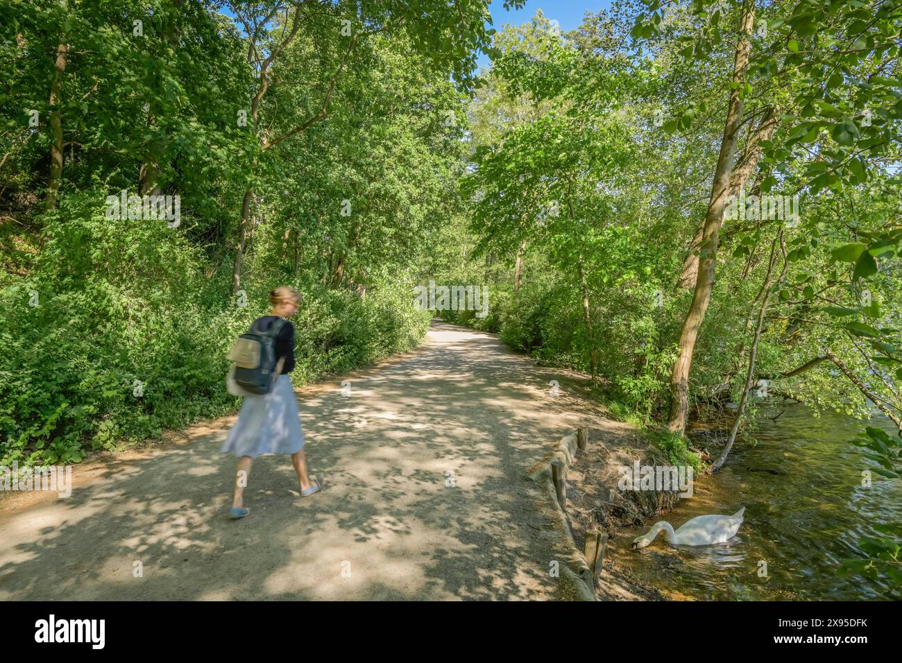 Escursionisti a Schlachtensee, Zehlendorf, Steglitz-Zehlendorf, Berlino, Germania +++ NESSUN RILASCIO DI MODELLI, Spaziergänger am Schlachtensee, Zehlendorf, Steglitz- Foto Stock
