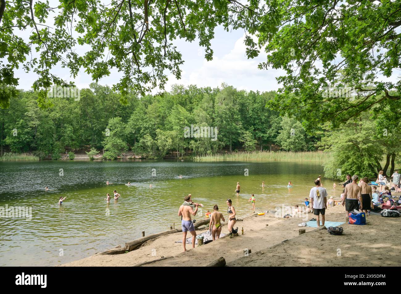 Zona balneare, Krumme Lanke, Zehlendorf, Steglitz-Zehlendorf, Berlino, Germania +++ NESSUN RILASCIO DI MODELLI, Badestelle, Krumme Lanke, Zehlendorf, Steglitz-Zehl Foto Stock