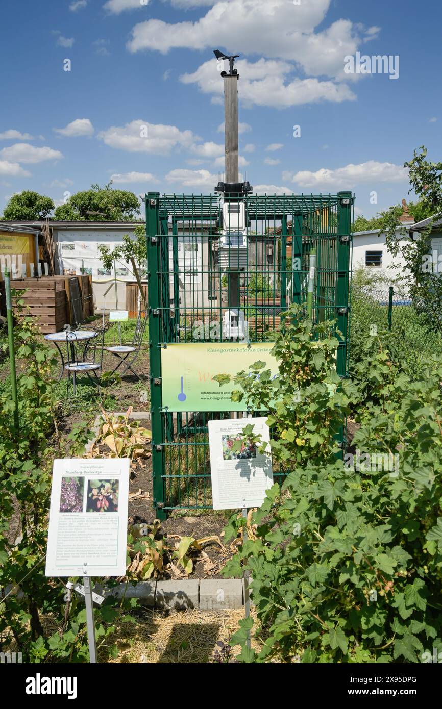 Climate Show Garden, Grüne Aue Colony at Priesterweg / Grazer Damm, Schöneberg, Tempelhof-Schöneberg, Berlino, Germania, Klima Schaugarten, Kolonie Grün Foto Stock