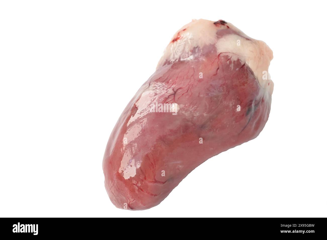 Carne di pollame. Turchia cuore primo piano. Foto Stock