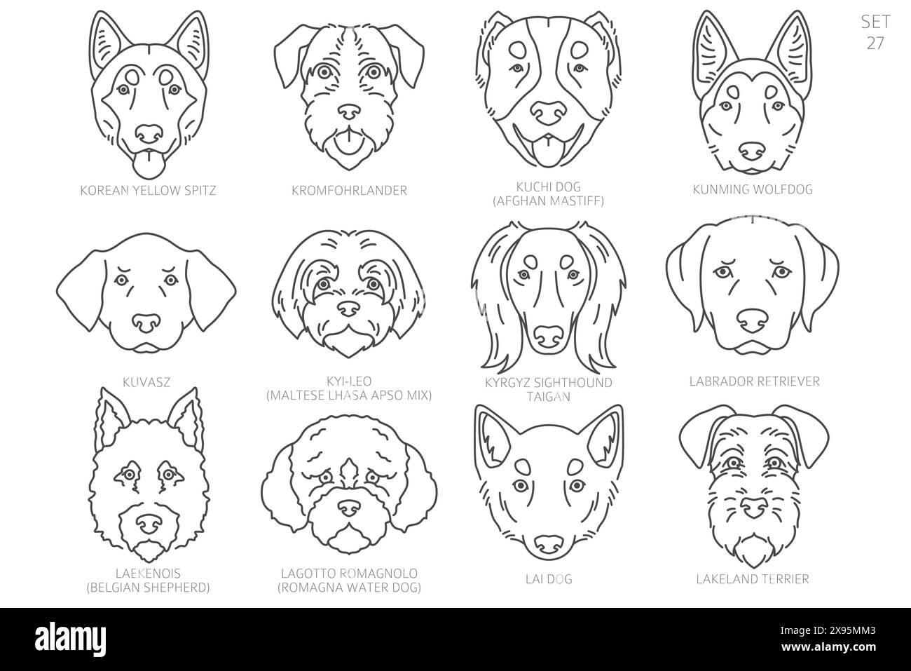 Sagome della testa del cane in ordine alfabetico. Tutte le razze di cani. Semplice design vettoriale di linea. Illustrazione vettoriale Illustrazione Vettoriale