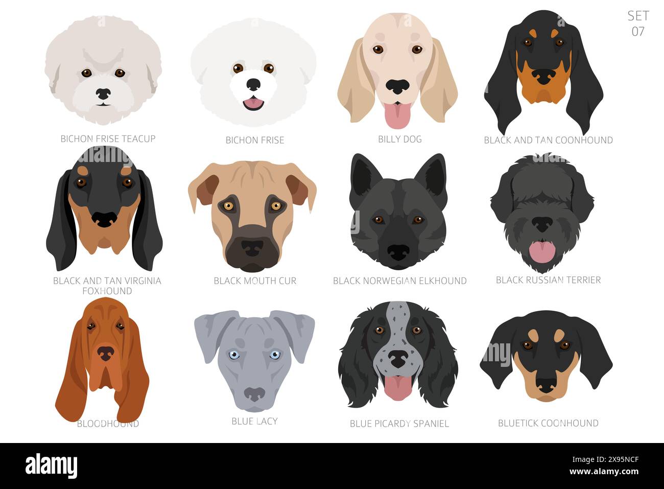 Testa di cane in ordine alfabetico. Tutte le razze di cani. Design vettoriale colore. Illustrazione vettoriale Illustrazione Vettoriale
