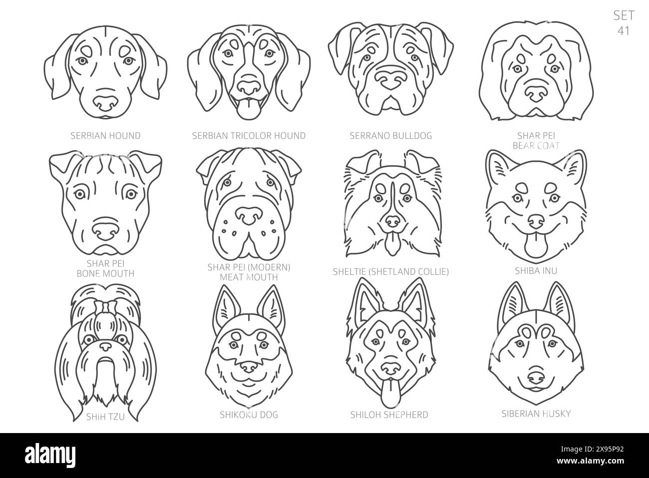 Sagome della testa del cane in ordine alfabetico. Tutte le razze di cani. Semplice design vettoriale di linea. Illustrazione vettoriale Illustrazione Vettoriale