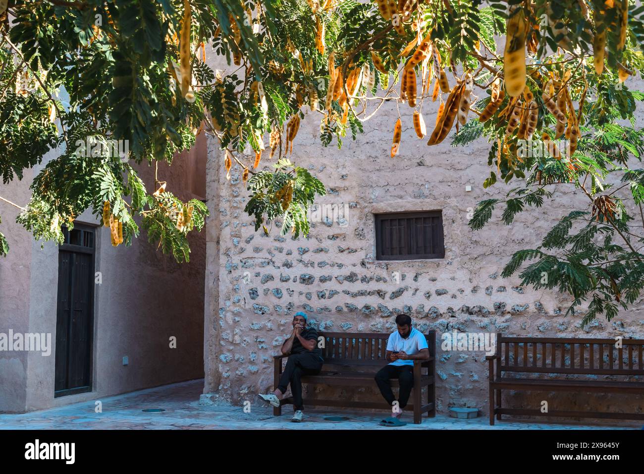 Dubai, Emirati Arabi Uniti - 6 gennaio 2024: La gente del posto trova sollievo dalla vivace vita cittadina su una panchina nel tranquillo quartiere della città vecchia. Foto Stock