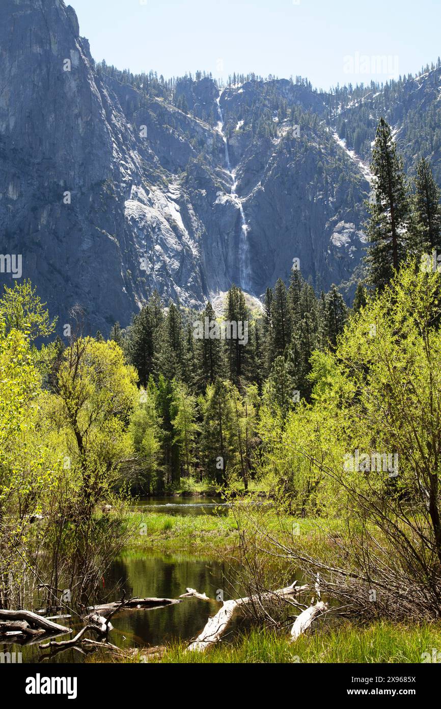 Sentinel Falls (circa 2.000 piedi), Yosemite National Park, California, Stati Uniti Foto Stock