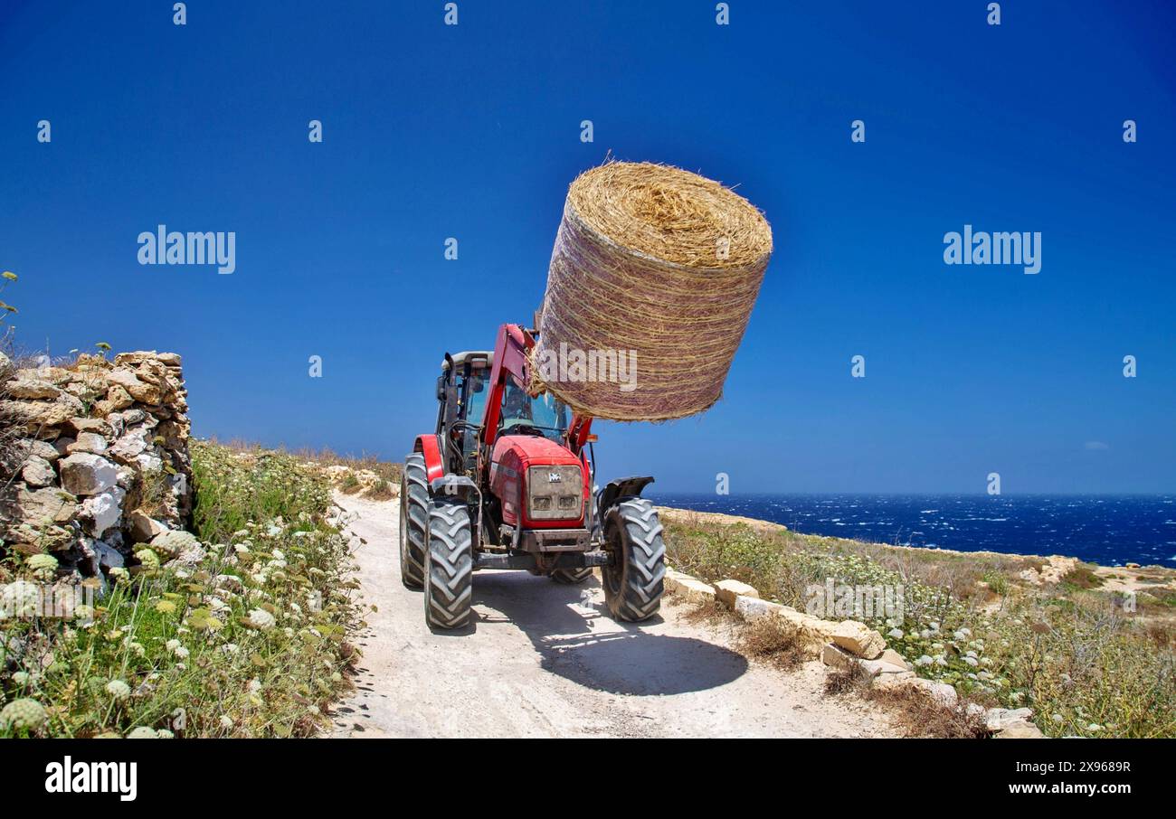 Trattore con balla di fieno vicino a Xwejni Bay, Gozo, Malta, Mediterraneo, Europa Foto Stock