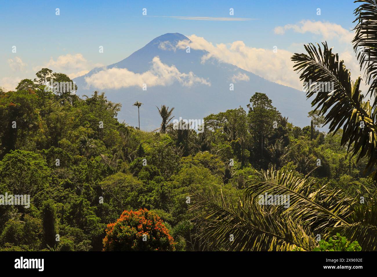 Monte Soputan, uno stratovulcano attivo di 1785 m che può produrre flussi piroclastici e nuvole di cenere, a sud-ovest di Tomohon, Gunung Soputan, Tomohon, Sulawesi settentrionale Foto Stock
