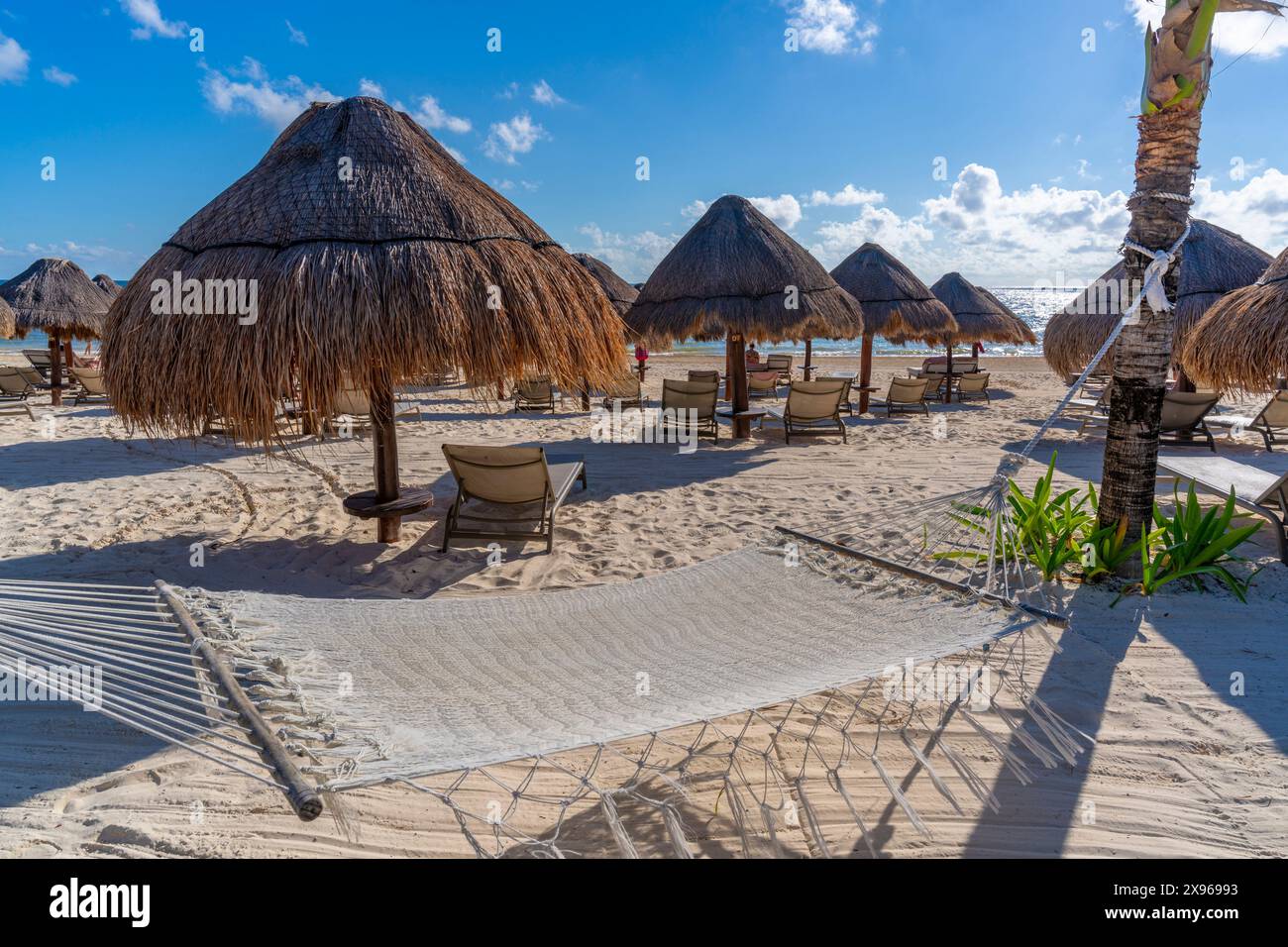 Vista dell'amaca sulla spiaggia di Puerto Morelos, costa caraibica, penisola dello Yucatan, Riviera Maya, Messico, nord America Foto Stock