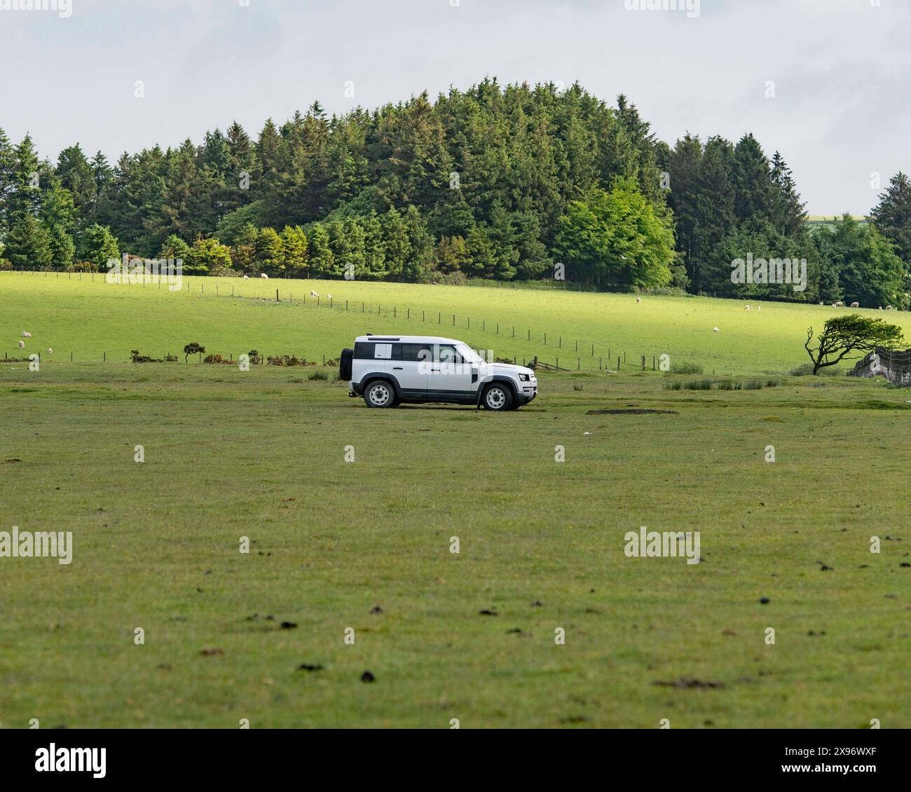 il difensore di landrover ha parcheggiato in un campo Foto Stock