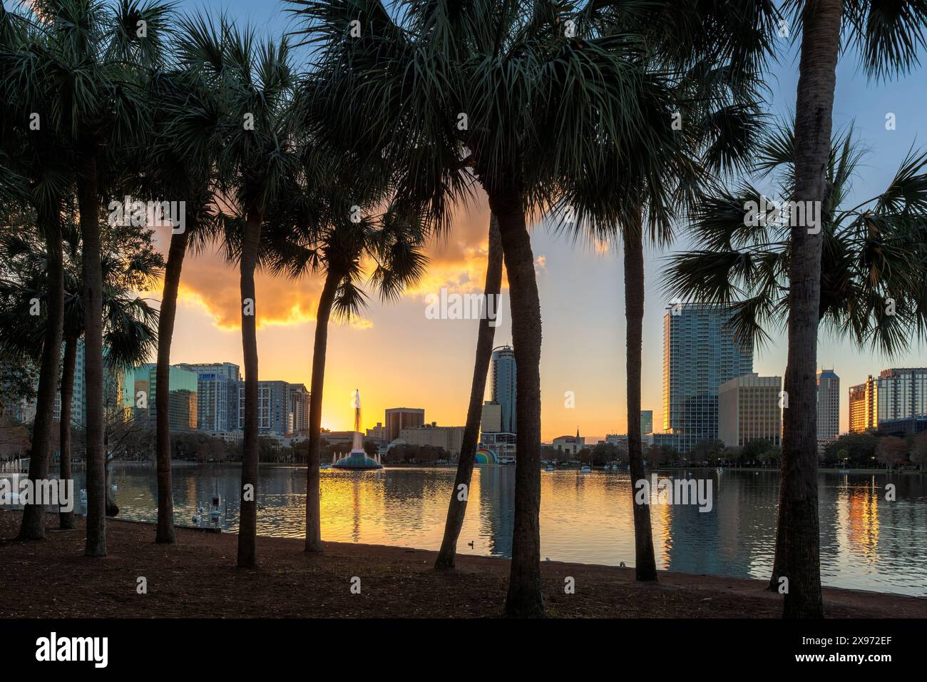 Palme nella città di Orlando al tramonto a Orlando, Florida, Stati Uniti Foto Stock