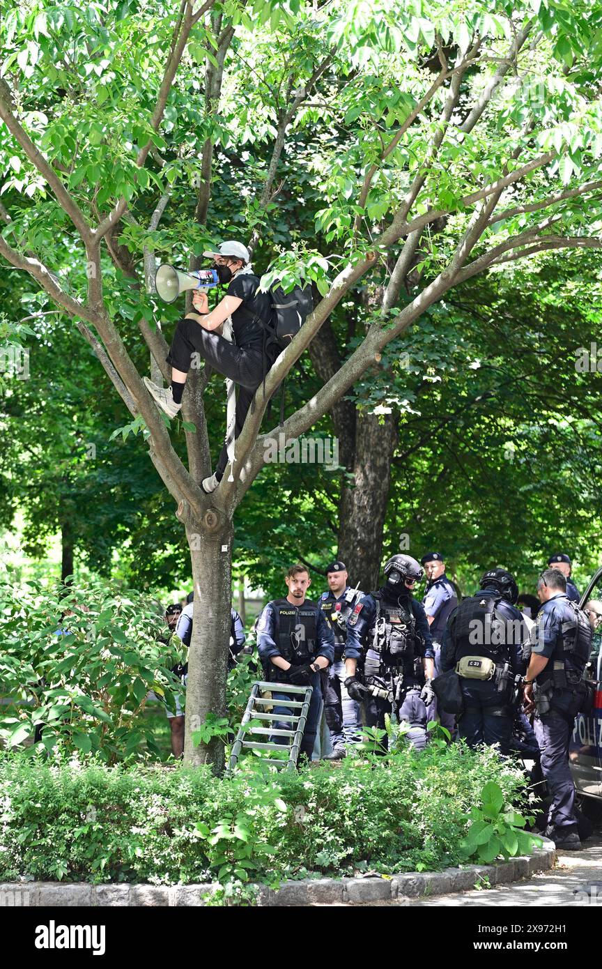 Vienna, Austria. 29 maggio 2024. La polizia rompe il campo di protesta pro-palestinese di fronte all'Università di tecnologia di Vienna (tu) Foto Stock