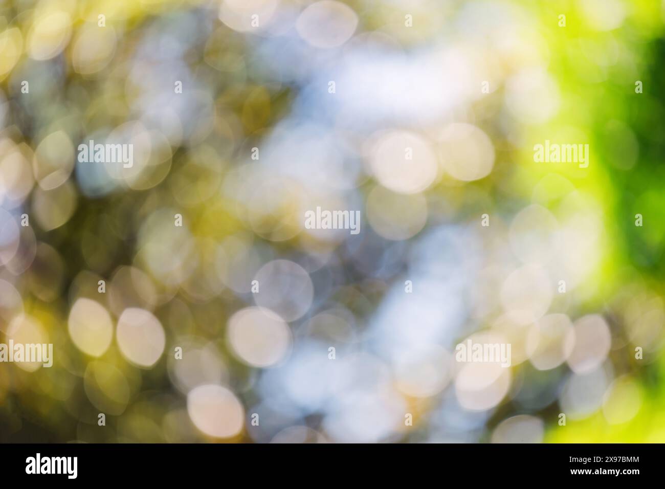 Sfondo estivo astratto, giardino estivo sfocato, sfondo bokeh Foto Stock