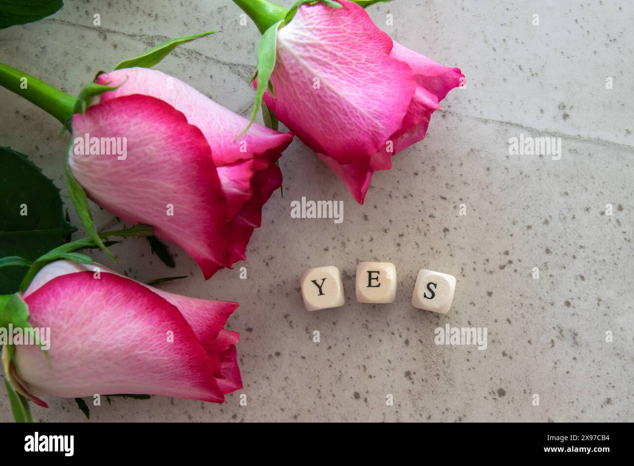 Answr, sì. Parola esclamativa sullo sfondo del tavolo in pietra con fiori rosa. Foto Stock