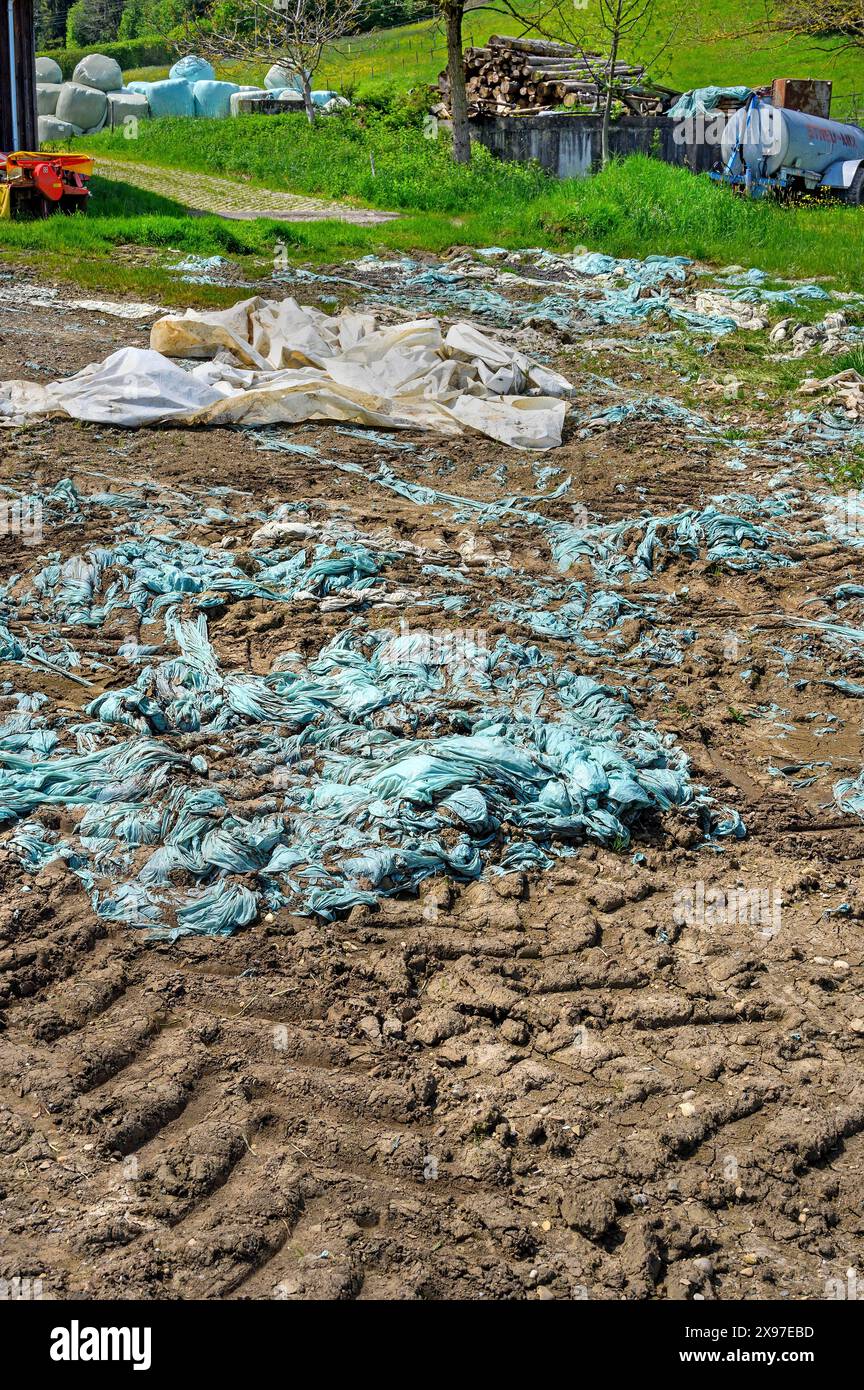 Resti di pellicola plastica, inquinamento ambientale, Allgaeu, Baviera, Germania Foto Stock