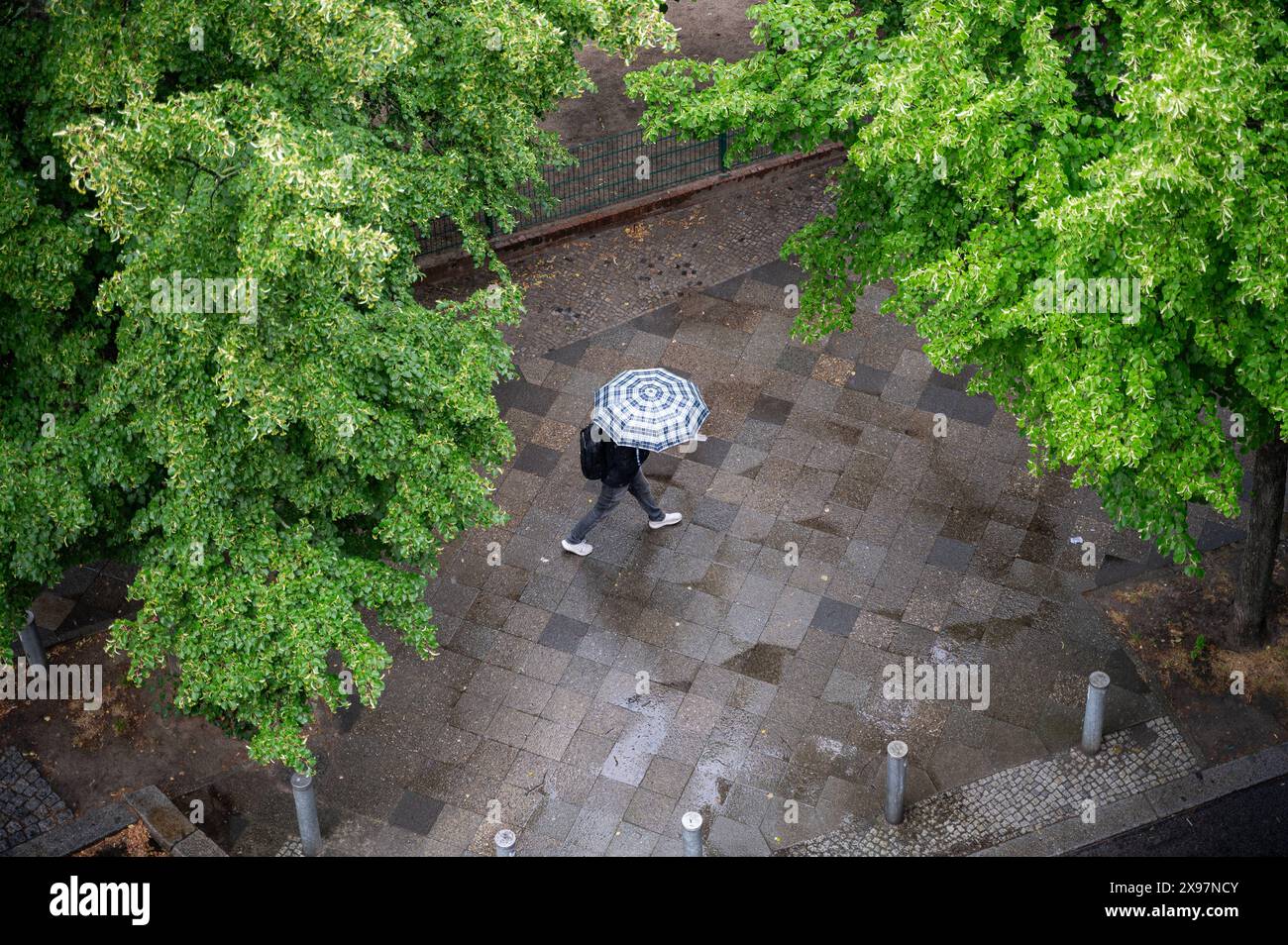 28.05.2024, Berlino, Deutschland, Europa - Eine person mit Regenschirm geht bei leichtem Regen auf einem nassem Gehweg im Bezirk Charlottenburg-Wilmersdorf entlang. *** 28 05 2024, Berlino, Germania, Europa Una persona con un ombrello cammina lungo un marciapiede bagnato nel quartiere Charlottenburg Wilmersdorf sotto la pioggia leggera Foto Stock