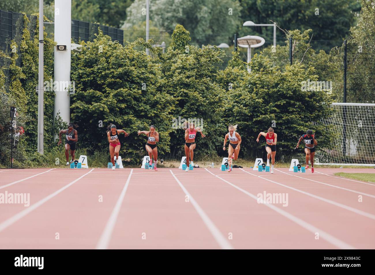 Stratford, Regno Unito. 26 maggio 2024. (Da sinistra a destra) Torema Thompson di Enfield e Haringey A C, Elise Modeste di Enfield e Haringey A C, Serena Grace di Windsor Slough Eton e Hounslow A.C., Eve Wright di Shaftesbury Barnet Harriers, Darcey Kuypers di Blackheath e Bromley Harriers A.C., Amelia Gittens di Herts Phoenix A.C. e Karen Mayindu di Be Fit Today Track Academy in azione durante la seconda giornata di Heat 2 nei 100mW del Gran Premio di velocità di Stratford 2024. Crediti: George Tewkesbury/Alamy Live News Foto Stock