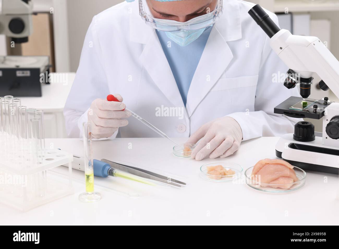 Controllo qualità. Ispettore alimentare che esamina la carne in laboratorio Foto Stock