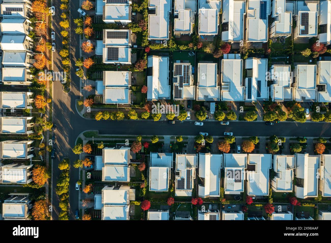 Vista aerea nel tardo pomeriggio delle strade con foglie autunnali fiancheggiate da case australiane moderne di dimensioni simili nei sobborghi esterni in rapida crescita di Sydney. Foto Stock