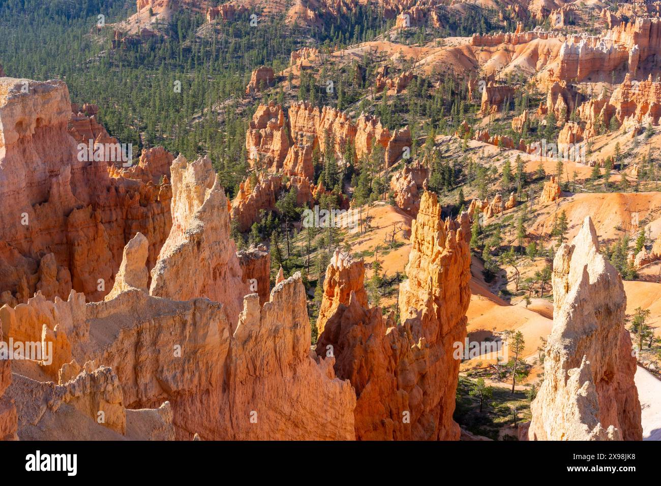 Parco Nazionale di Bryce Canyon nel sud dello Utah, Stati Uniti d'America Foto Stock