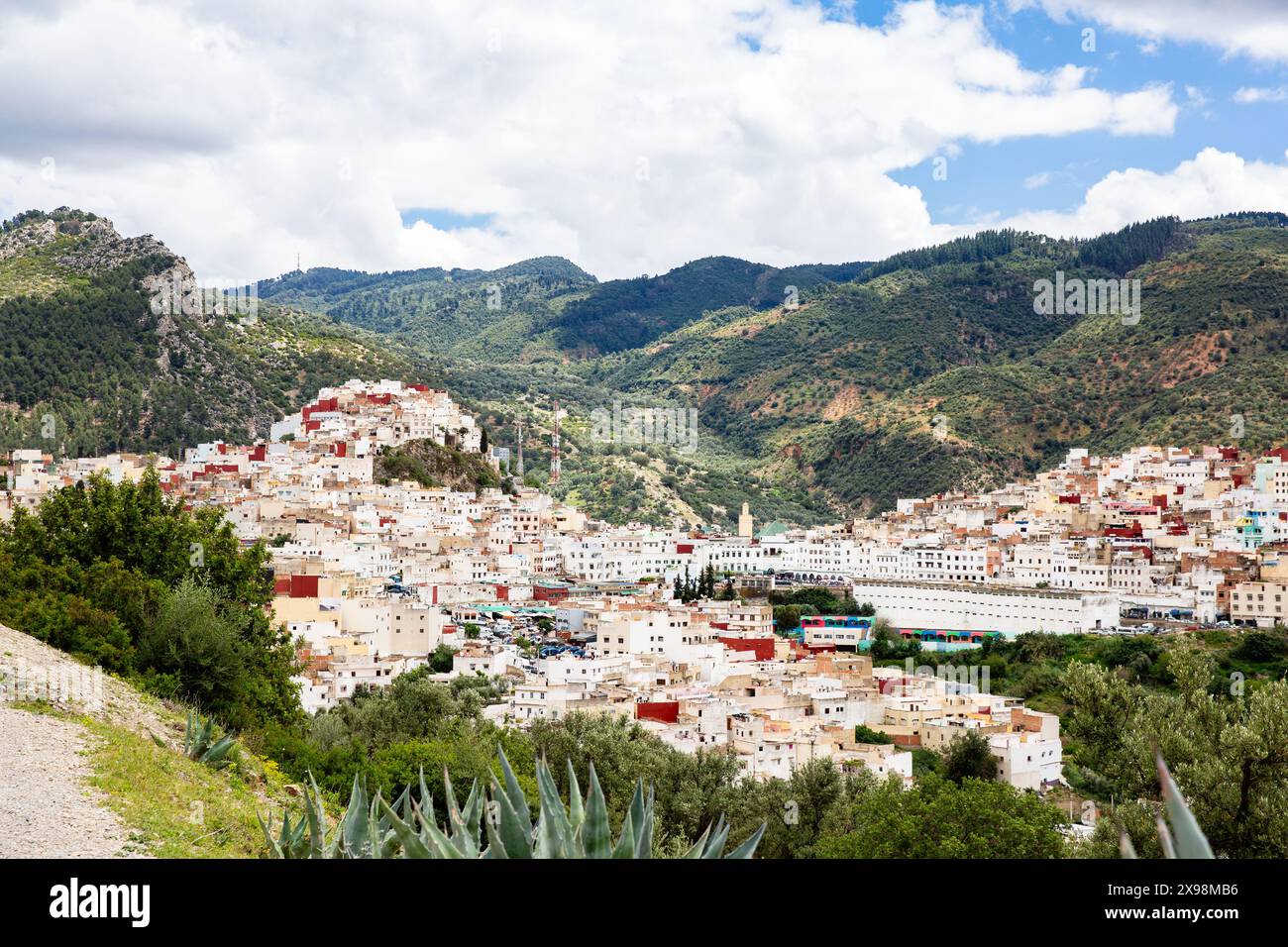 Vista sulla città di Moulay Idriss Zerhoun, regione di Fès-Meknès, Marocco Foto Stock