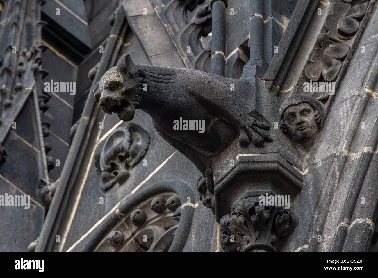 Arte medievale: Gargoyle gotico della cattedrale di Notre-Dame-de-l'Assomption a Clermont-Ferrand, Francia, monumento storico costruito in pietra nera di Volvic Foto Stock