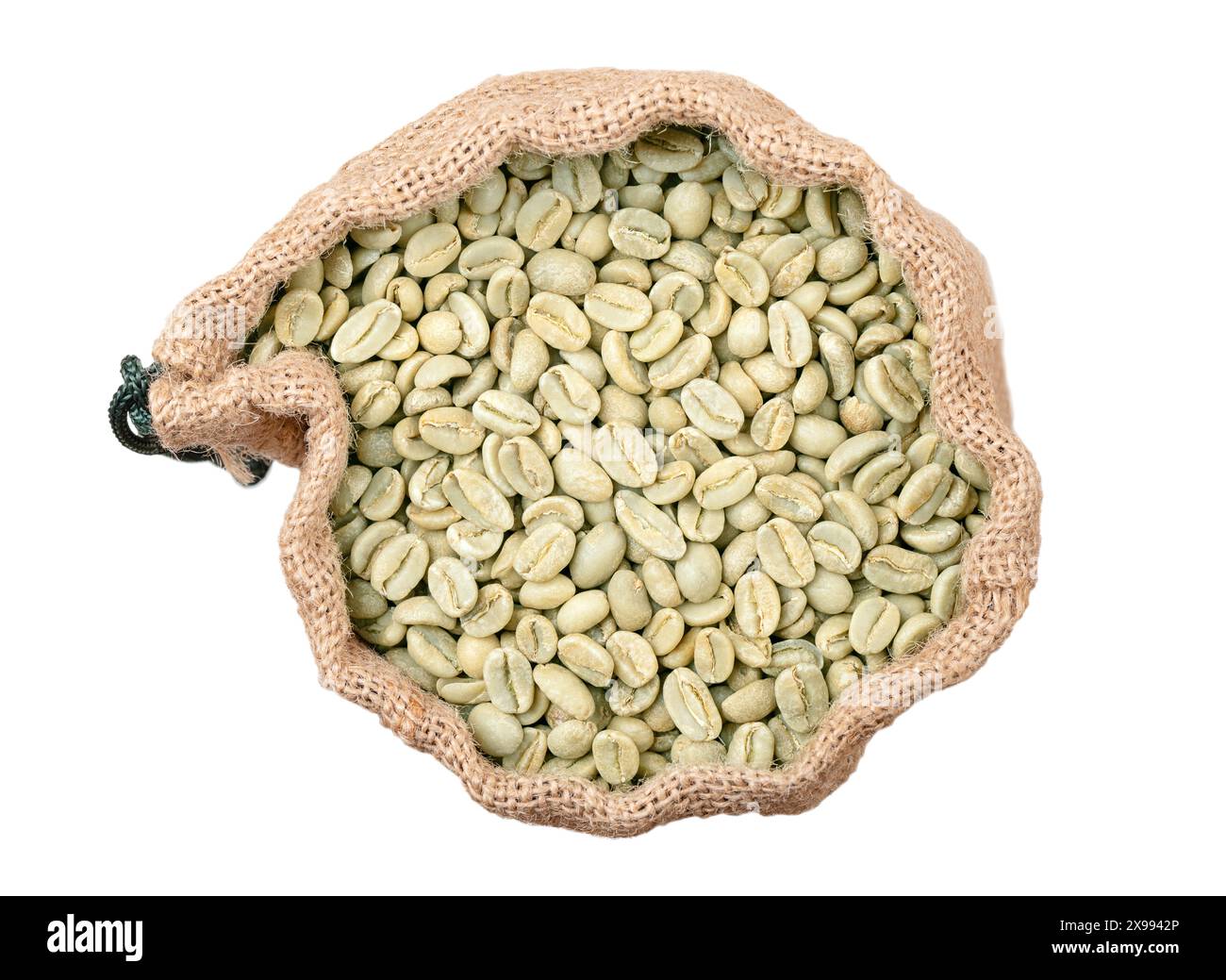 Chicchi di caffè verde crudi in un sacco gunny aperto, dall'alto. Chicchi di caffè arabica verdi non tostati, semi di bacche di Coffea arabica. Foto Stock