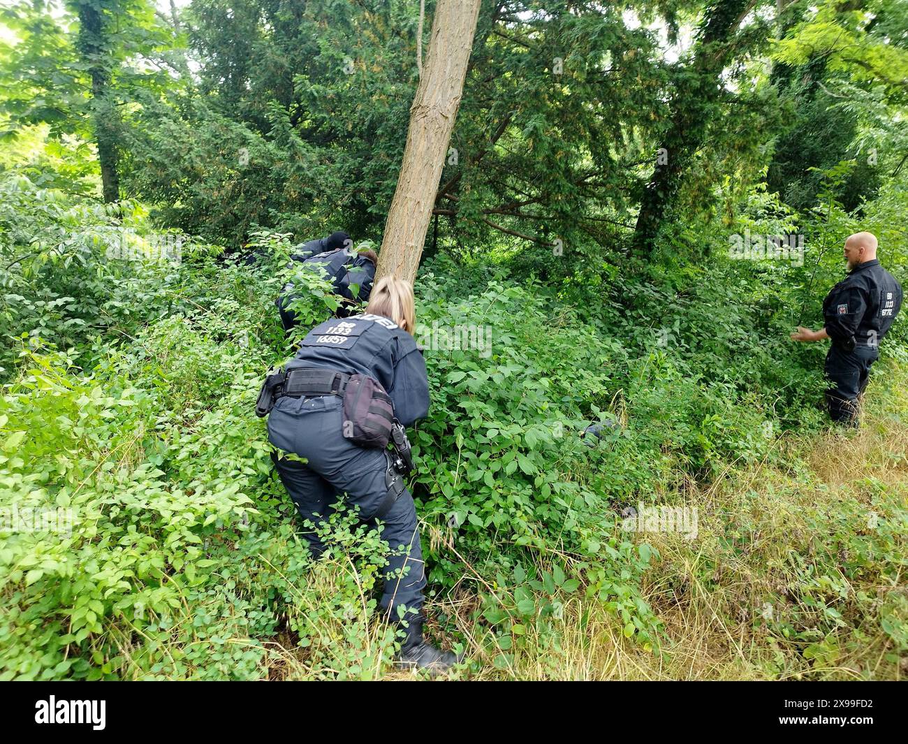 DATA DI REGISTRAZIONE NON INDICATA 30.05.2024, Brandeburgo, Potsdam Großeinsatz der Polizei in der Landeshauptstadt nach schwerer Körperverletzung in Asylbewerberunterkunft, Suchmaßnahmen. *** 30 05 2024, Brandeburgo, Potsdam operazione di polizia importante nella capitale dello stato dopo un grave assalto in alloggi per richiedenti asilo, misure di ricerca Foto Stock