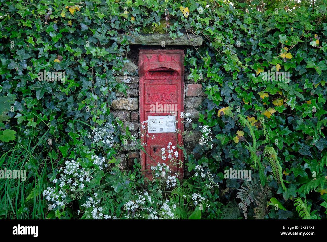 vecchia scatola di posta vittoriana rossa intemprata nel muro di pietra, devon, inghilterra Foto Stock
