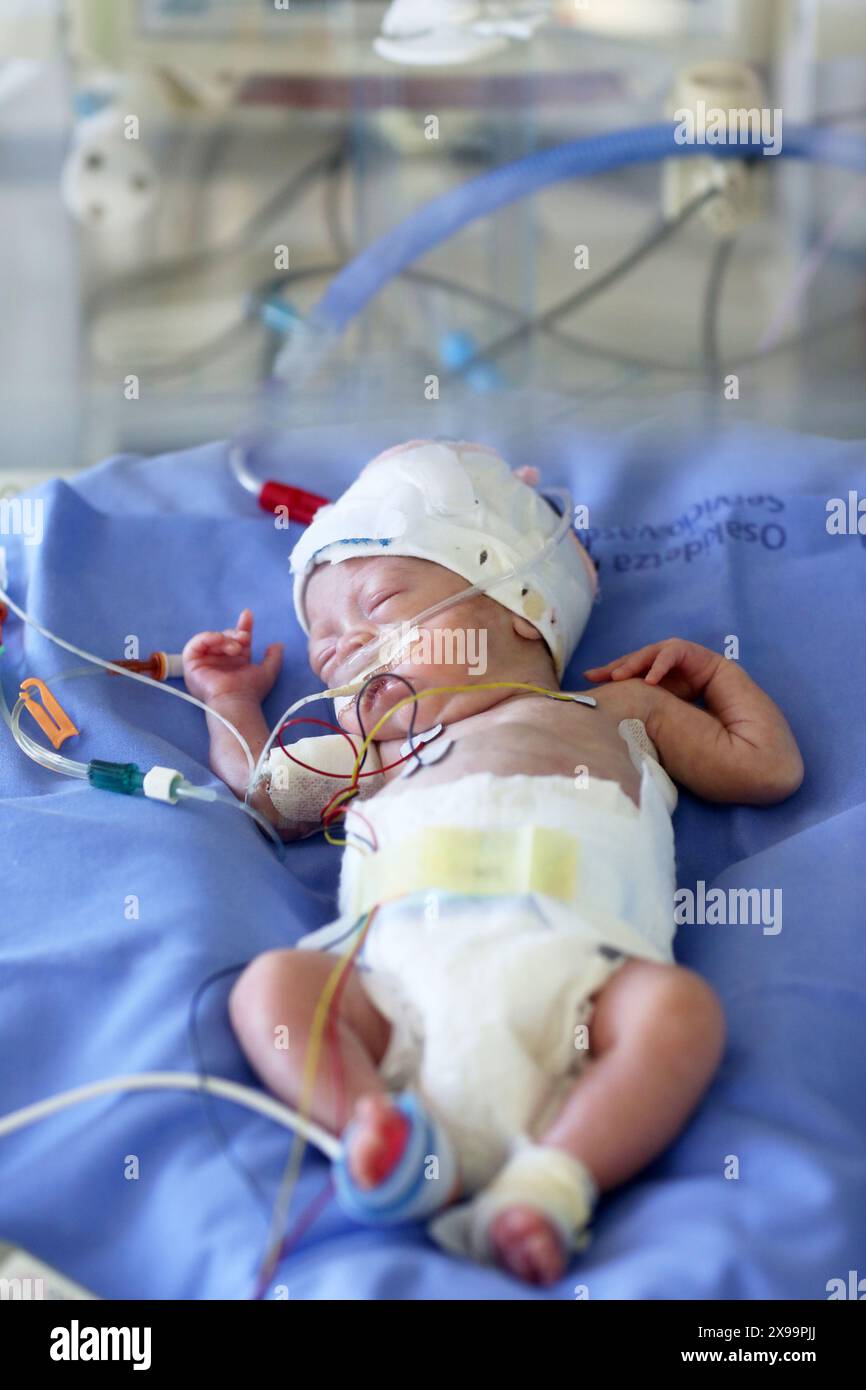 Neonati, unità di terapia intensiva neonatale, ospedale Donostia, San Sebastian, Donostia, Gipuzkoa, paesi Baschi, Spagna. Foto Stock