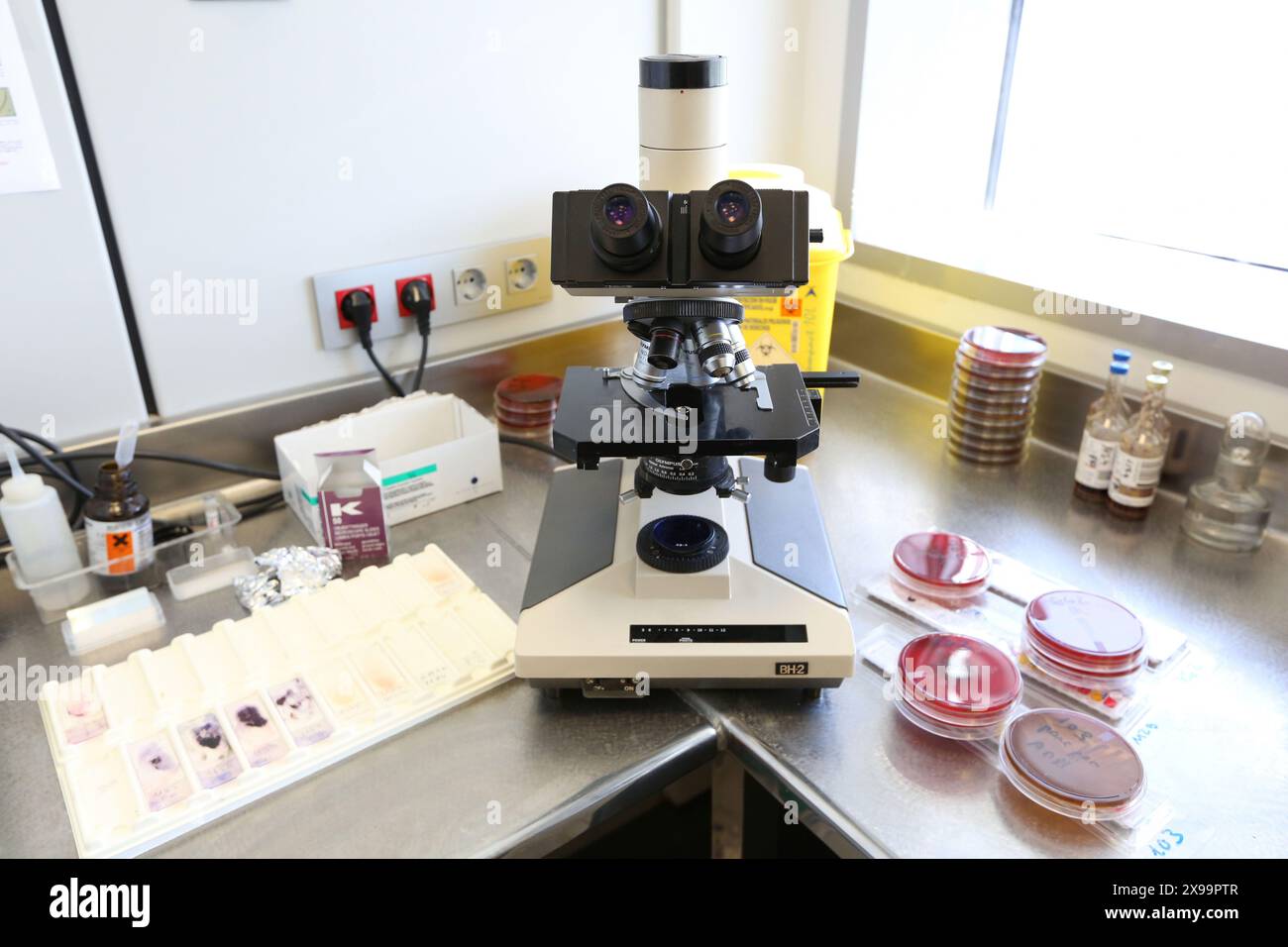 Test di microbiologia API, identificazione dei batteri tecnico di laboratorio che esegue un test API Analytical Profile Index si tratta di un metodo utilizzato per identificare i batteri in base alle reazioni biochimiche tra i batteri e le varie sostanze chimiche collocate nei pozzetti API questo produce un pattern di variazioni di colore sulla striscia API, che è una firma per la specie particolare di batterio, laboratorio di analisi, ospedale Onkologikoa, Istituto Oncologico, Case Center for Prevention, Diagnosis and Treatment of Cancer, Donostia, San Sebastian, Gipuzkoa, Paesi Baschi, Spagna. Foto Stock