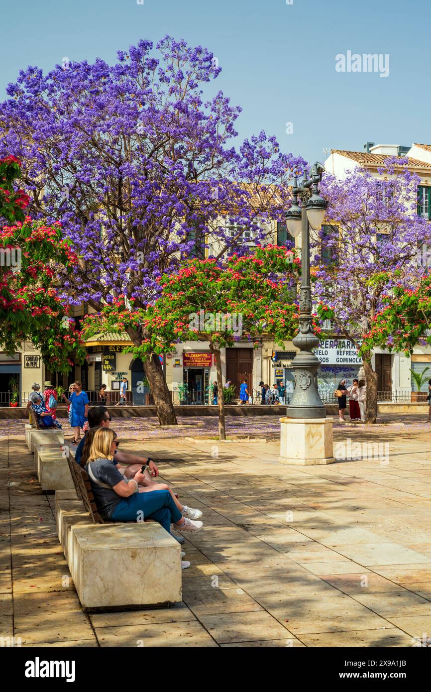 Plaza de la Merced, Malaga, Andalusia, Spagna Foto Stock
