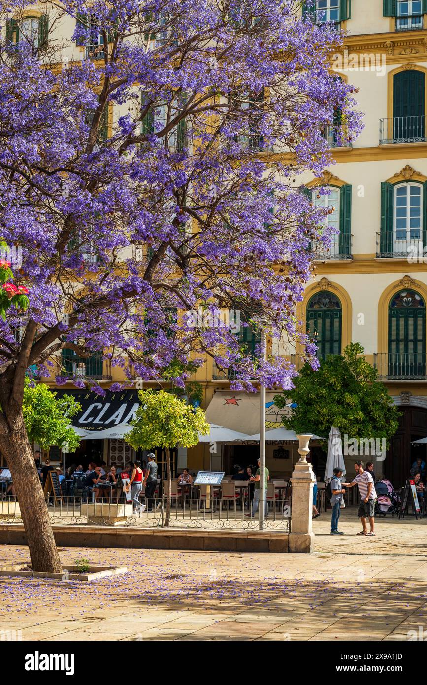 Plaza de la Merced, Malaga, Andalusia, Spagna Foto Stock