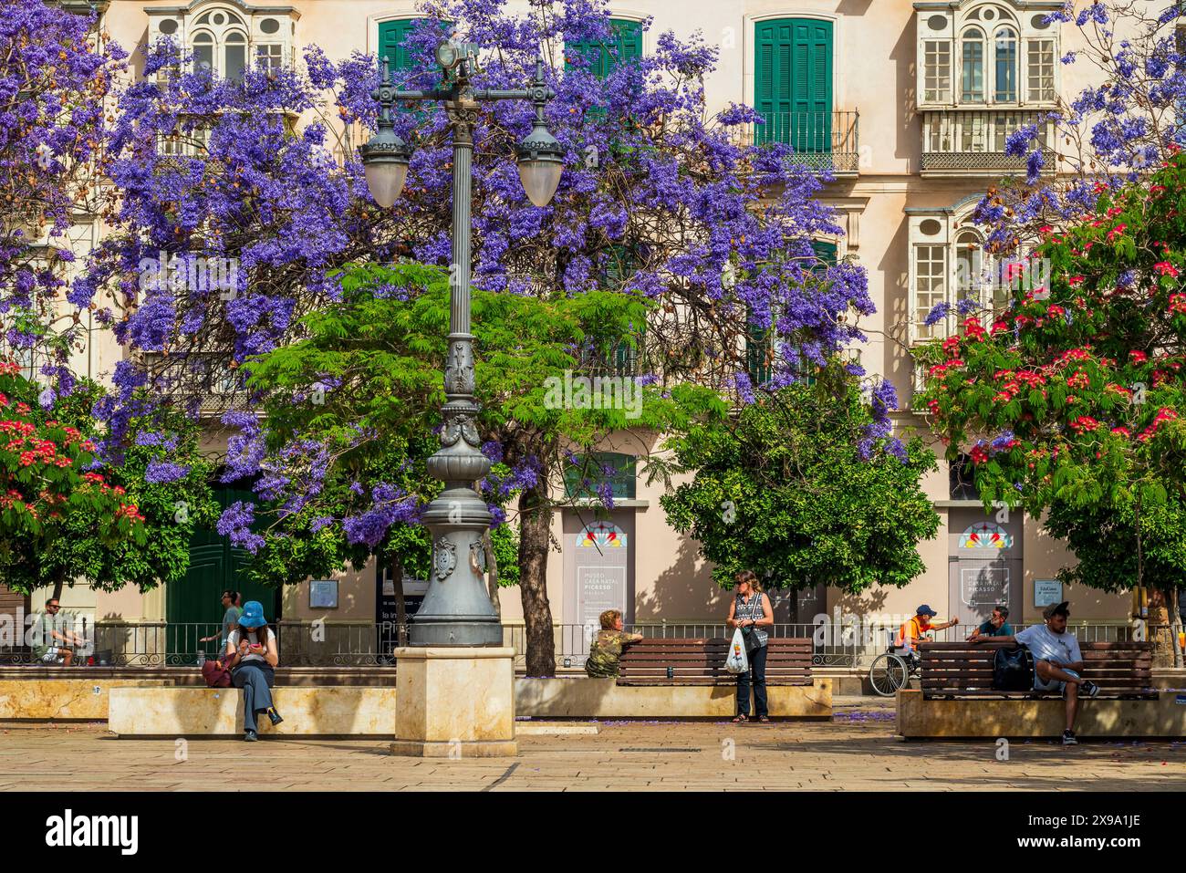 Plaza de la Merced, Malaga, Andalusia, Spagna Foto Stock