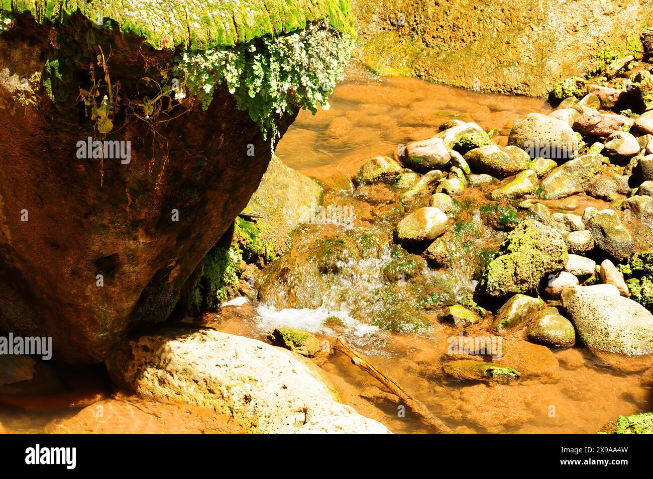 Tonto National Forest vicino a Payson, Arizona Foto Stock