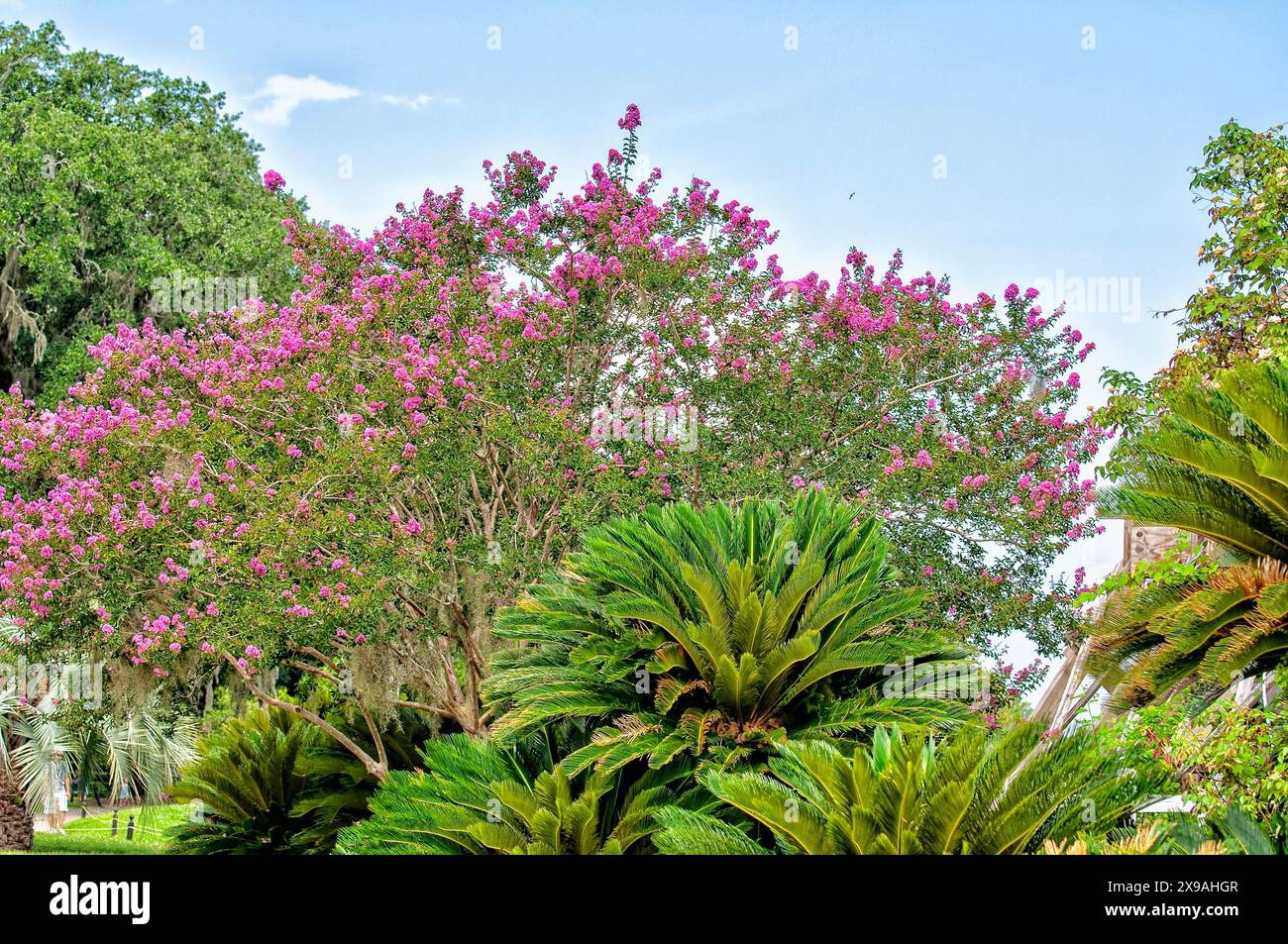 Immagini rilassanti Foto Stock