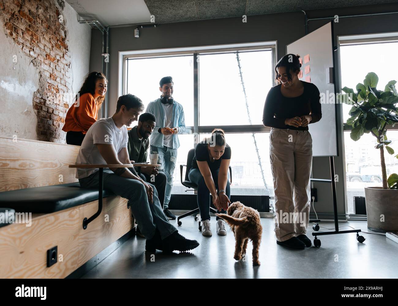 Colleghi d'affari di sesso maschile e femminile che giocano con il cane in riunione in ufficio Foto Stock