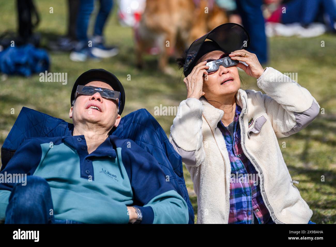Gli spettatori guardano l'eclissi solare del 2024 dal prato del Vermont State House, Montpelier, Vermont, USA, 8 aprile, 2024. Foto Stock