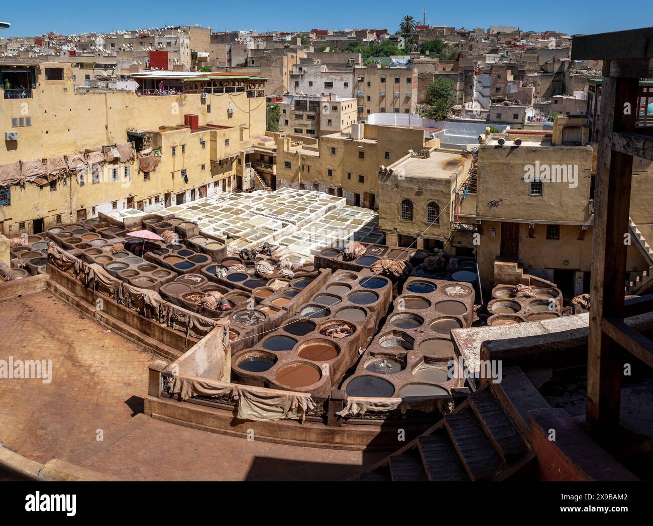 Conceria houwara a Fez, iconico sito tradizionale di tintura in pelle, Marocco Foto Stock