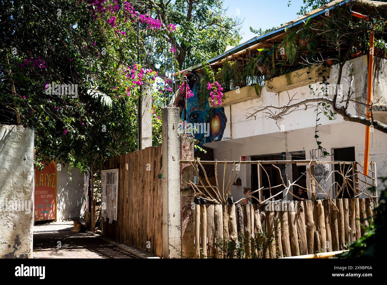 Strada conosciuta come Hippie Highway, San Marcos la Laguna, conosciuta per una grande popolazione di espatriati di yogi e guarigione alternativa, lago Atitlan, Guatemala Foto Stock