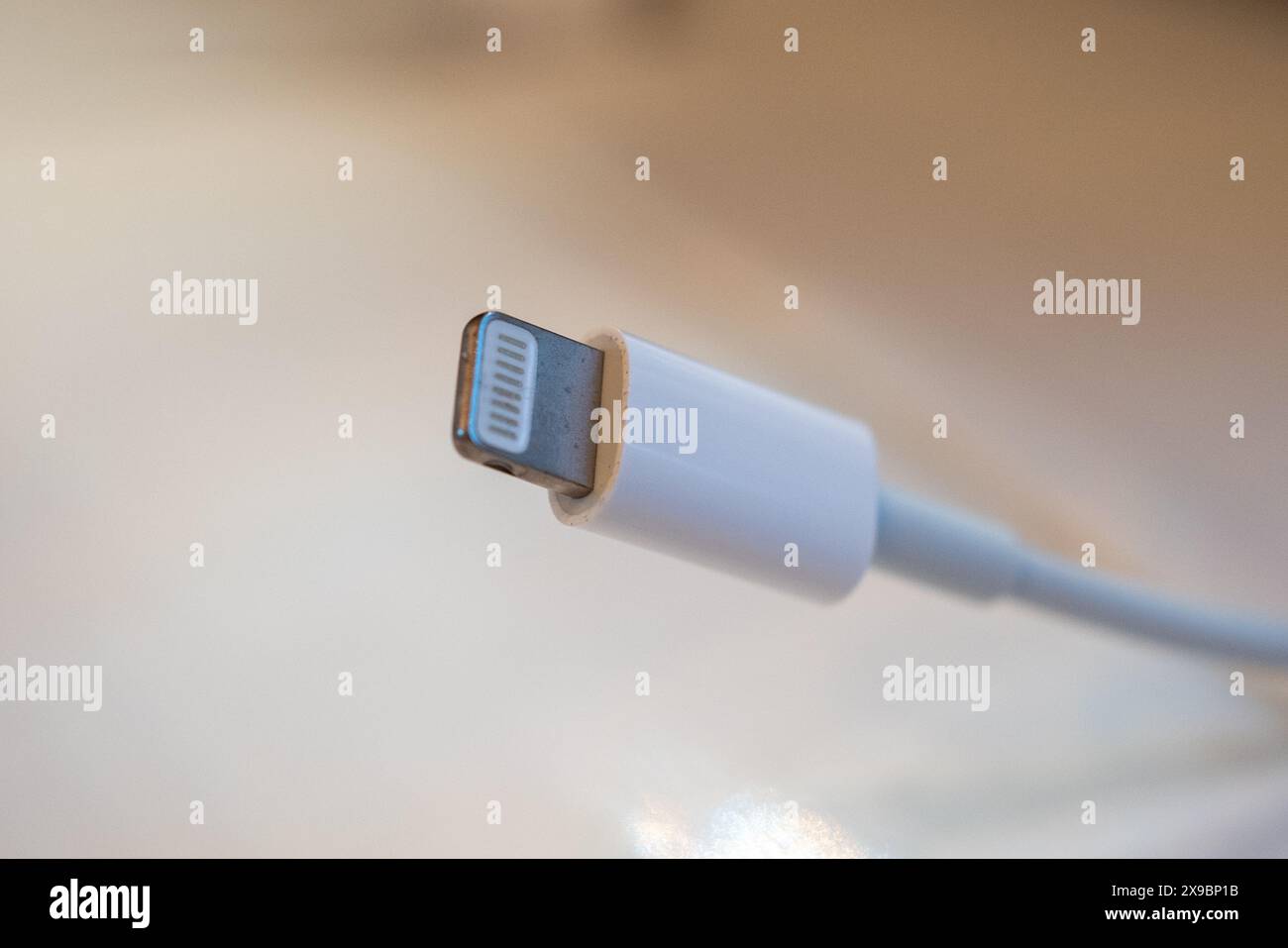 Stati Uniti. 17th Jan 2022. Primo piano della fine di un cavo Lightning Apple su sfondo bianco, Lafayette, California, 17 gennaio 2022. Photo courtesy Tech Trends. (Foto di Gado/Sipa USA) Credit: Sipa USA/Alamy Live News Foto Stock